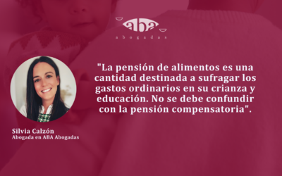 ¿Qué entra en la pensión de alimentos? Gastos ordinarios y extraordinarios