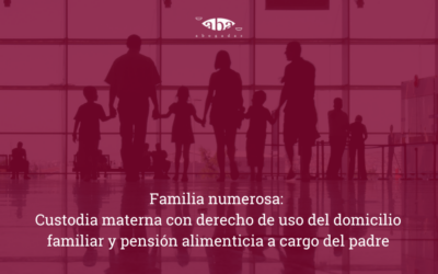 Familia numerosa: custodia materna con derecho de uso del domicilio familiar y pensión alimenticia a cargo del padre
