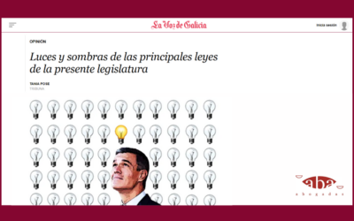 Luces y sombras de las principales leyes de la presente legislatura