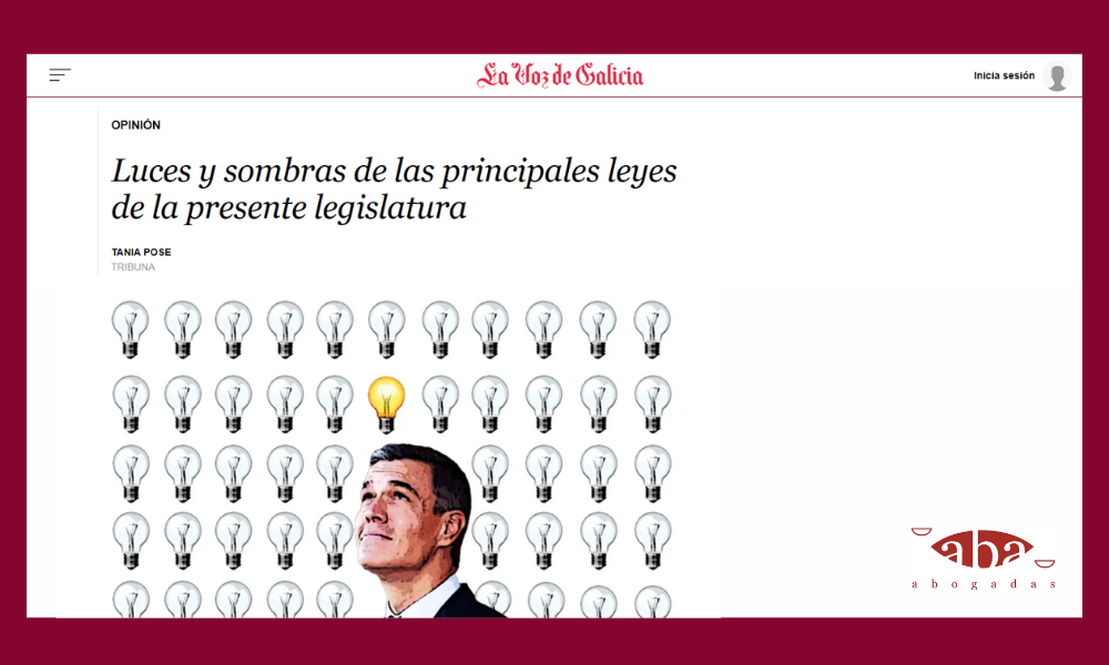 Luces y sombras de las principales leyes de la presente legislatura
